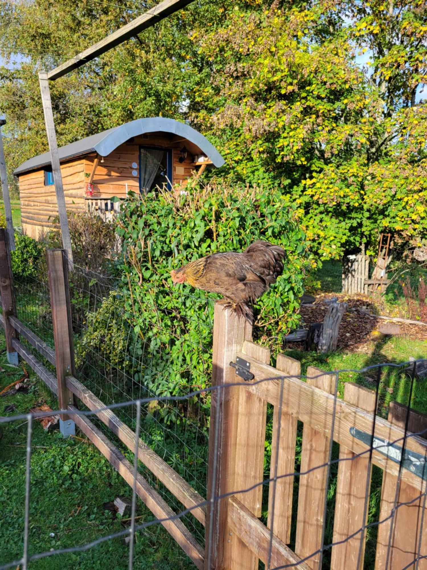 La Roulotte Tiny House Du Mond'Ideal Leval  Pokoj fotografie