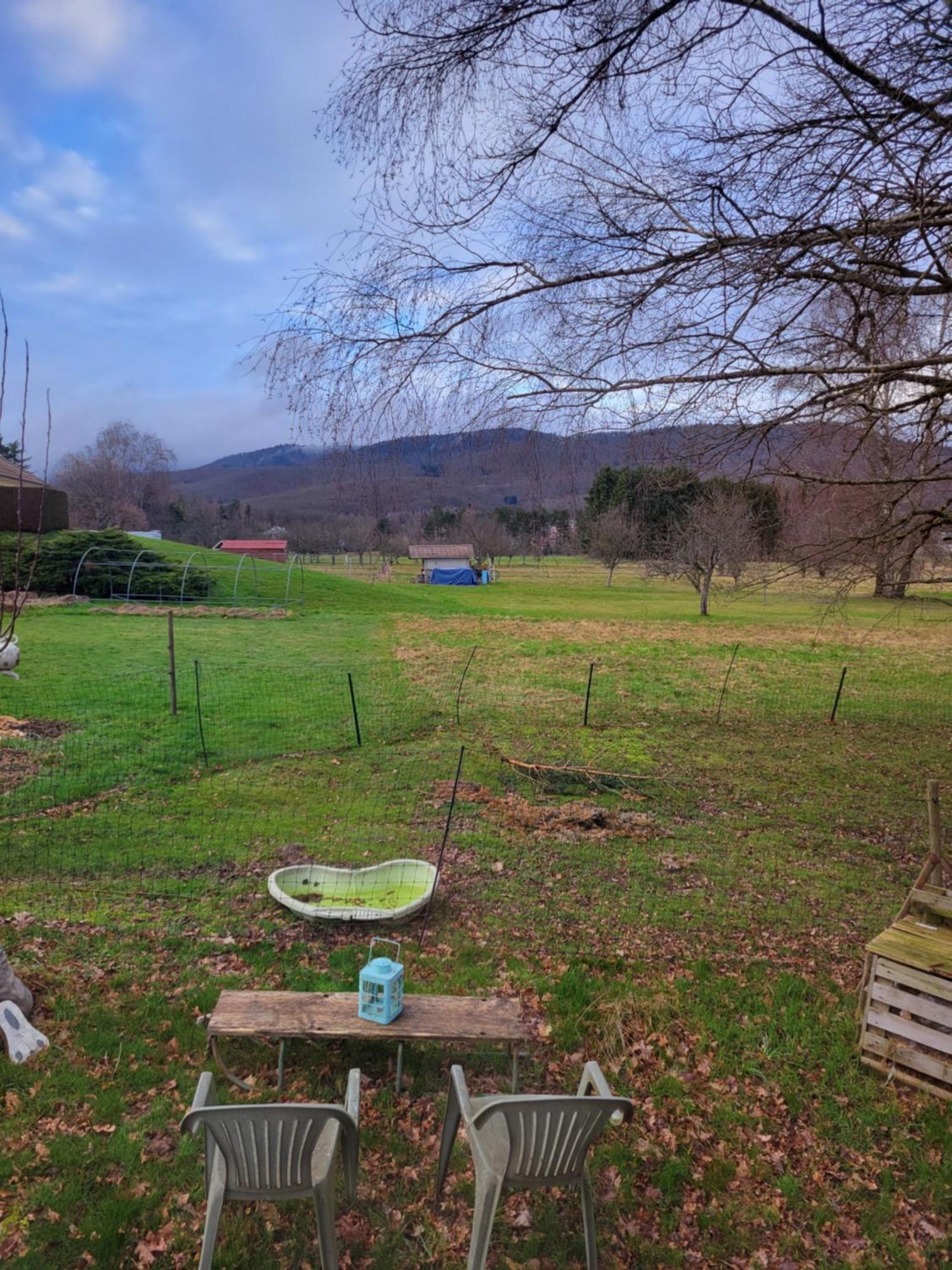 La Roulotte Tiny House Du Mond'Ideal Leval  Pokoj fotografie